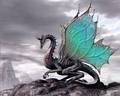 butterfly dragon - dragons photo