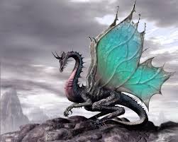  butterfly, kipepeo dragon