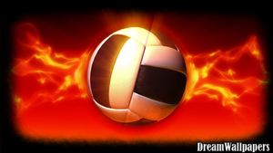 164908408 volleyball wallpapers