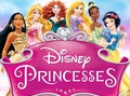 6 Princesses with the Logo - disney-princess photo