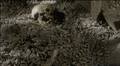 8.07 ~ "What Lies Buried" - murdoch-mysteries photo