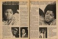 An Article Pertaining To Micheal Jackson  - michael-jackson photo