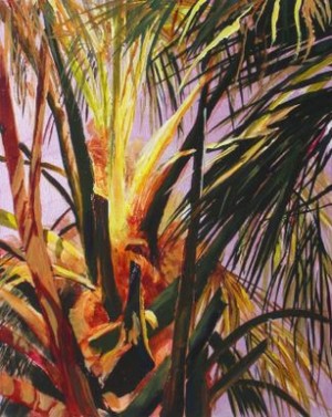 Beautiful Palm Trees