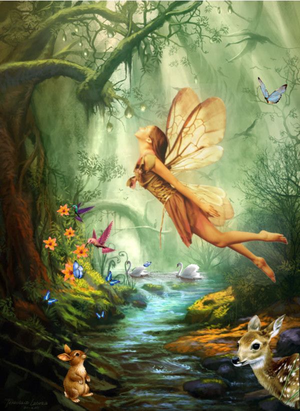 Fairies Of The Forest - Magical Creatures Fan Art (41326981) - Fanpop