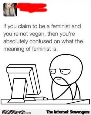  Feminism