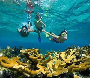 Snorkeling In Jamaica 