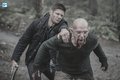 Supernatural - Episode 13.21 - Beat the Devil - Promo Pics - supernatural photo