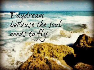  The Soul Needs To Fly