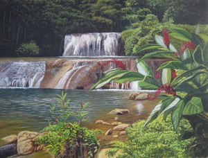  Waterfalls Of Jamaica
