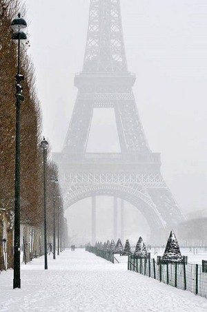 Winter In Paris
