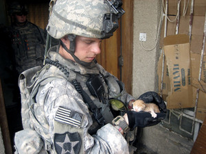  A Soldier And His Kitten