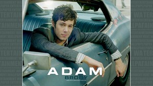  Adam Brody