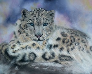  Beautiful Snow Leopard