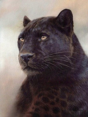  Black Leopard