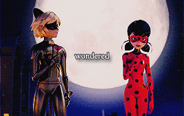  Chat Noir/Adrien and Marinette/Ladybug