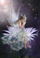 Fairy Princess - fairies photo