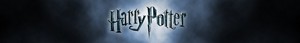  Harry Potter Banner
