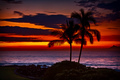 Hawaii - greyswan618 photo