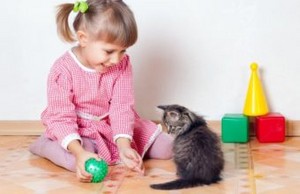  Little Girl And Her Kitten