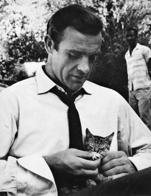  Sean Connery And His Kitten