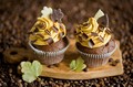 Tasty Cupcakes❤ - cupcakes photo