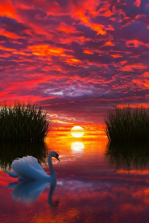  amazing sunset photographs