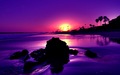 amazing sunset photographs - greyswan618 photo