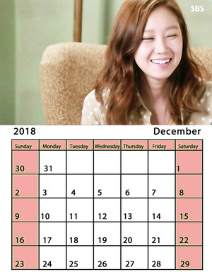 master's sun tae gong shil calendar 2018
