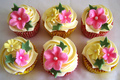 pretty cupcakes - greyswan618 photo
