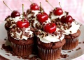 sweet delicious cuppies`❤ - haleydewit photo