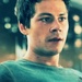 thomas the death cure 188 - movies icon