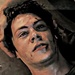thomas the death cure 203 - movies icon