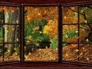  Wishing आप A Beautiful Autumn बैंगनी, वायलेट 🍂