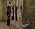3x16 "The Excelsior Acquisition" - the-big-bang-theory photo