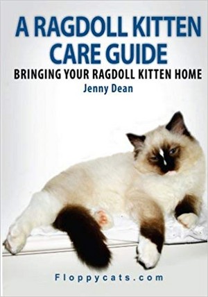  A Book Pertaining To Ragdoll kittens