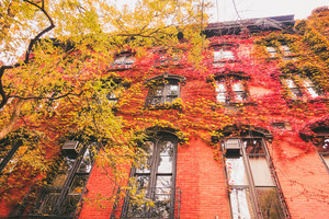  Autumn In New York