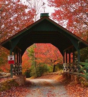  Autumn in Georgia