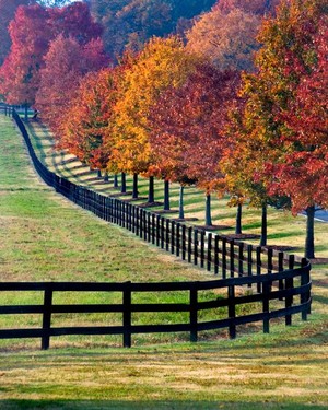  Autumn in Kentucky