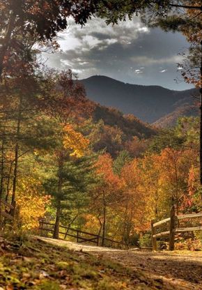 Autumn in Kentucky 