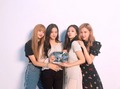 BLACKPINK get Diamond Play Button from Youtube for 10M subscribers - black-pink photo