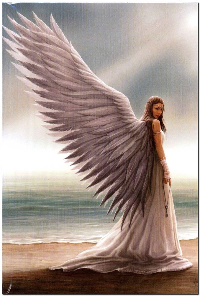 Beautiful Angel - Angels Photo (41562514) - Fanpop
