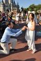 Disney Marriage Proposal  - disney photo