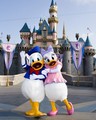 Donald And Daisy Duck - disney photo
