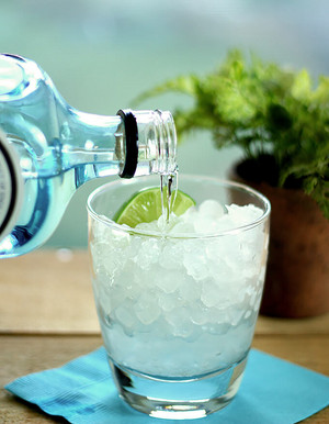  gin And Tonic