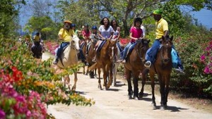  Horseback Riding In Jamaica