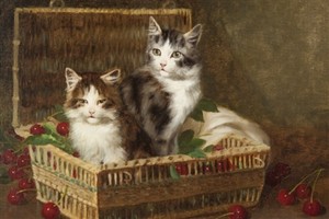Kittens And Basket Of Cherries