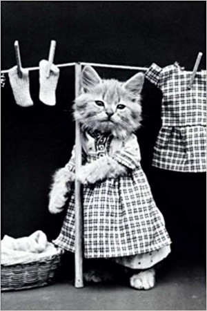  Laundry dag