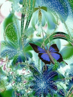  Pretty vlinder For Kirsten 💐