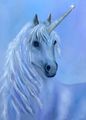 Pretty unicorn  - unicorns photo