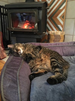 Relaxing By A Wood Burning Stove 